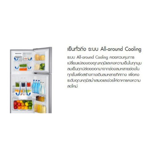 SAMSUNG ตู้เย็น 2 ประตู รุ่น RT20HAR1DSA ขนาด 7.4 คิว Image5