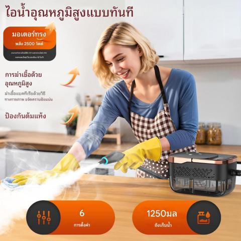 เครื่องทำความสะอาดไอน้ำ 2500W บ้าน / ในรถ ฆ่าเชื้อ >99.999% อุณหภูมิสูง Steam cleaning machine Image3