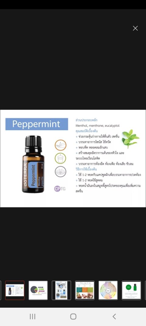 น้ำมันหอมระเหยเพื่อสุขภาพกลิ่น peppermint ขนาด 15 ml Image2