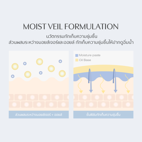 3CE Shine Reflector ทรีซีอี ชายน์ รีเฟล็กเตอร์ Image3