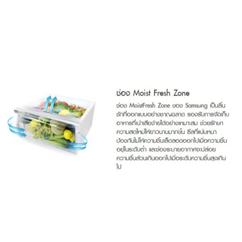 SAMSUNG ตู้เย็น 2 ประตู รุ่น RT20HAR1DSA ขนาด 7.4 คิว Image4
