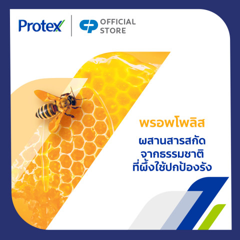 โพรเทคส์ พรอพโพลิส 180 มล. รวม 24 ขวด (ครีมอาบน้ำ สบู่อาบน้ำ) Protex Propolis Shower Cream 180ml Total 24 Bottles Image3