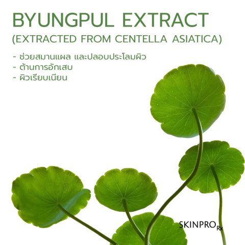 SKINPRO Rx Acne X Toner โทนเนอร์ลดสิว ลดความมัน กระชับรูขุมขน ปรับผิวใส ไม่อุดตัน 150 ml. จำนวน 1 ชิ้น* Image2