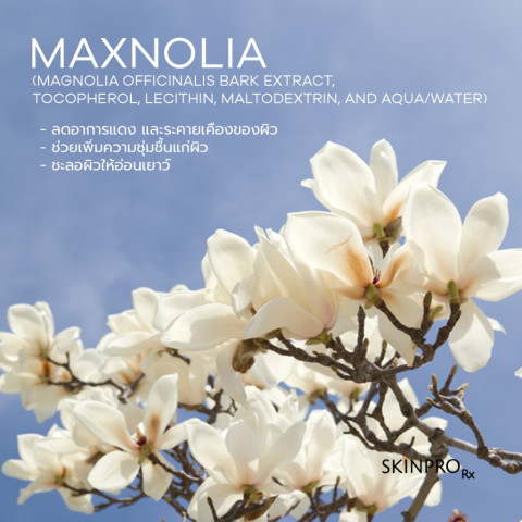 SKINPRO Rx Acne X Toner โทนเนอร์ลดสิว ลดความมัน กระชับรูขุมขน ปรับผิวใส ไม่อุดตัน 150 ml. จำนวน 1 ชิ้น* Image3