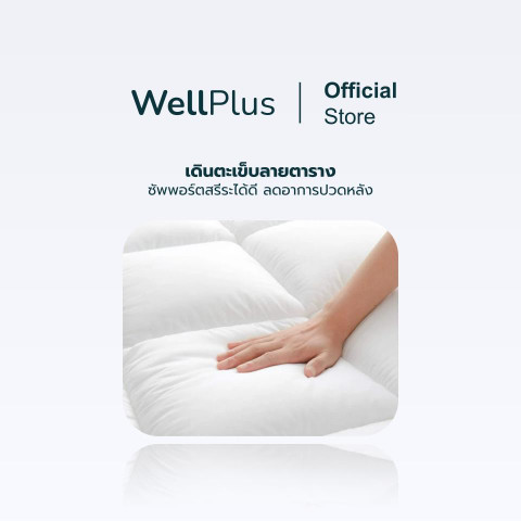 WellPlus Topper รุ่น Casey หนา 4 นิ้ว ท็อปเปอร์สุขภาพ ที่นอน Conjugated Siliconized Fiber Image2