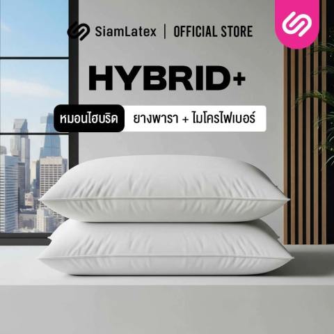 [ซื้อ 1 แถม 1] SiamLatex Hybrid Plus หมอนยางพาราไฮบริด ผสมผสาน ใยหมอนไฟเบอร์ และ น้ำยางพารา