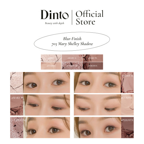 Dinto : Blur-Finish Shadow พาเลตตา 6 หลุม [Official Store] Image5