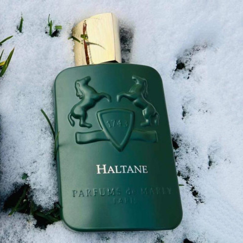 น้ำหอมแบรนด์  Haltane  for men 125ml น้ำหอมผู้ชายติดทนนาน Image3