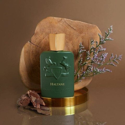 น้ำหอมแบรนด์  Haltane  for men 125ml น้ำหอมผู้ชายติดทนนาน Image4