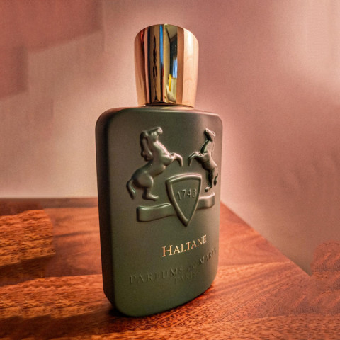 น้ำหอมแบรนด์  Haltane  for men 125ml น้ำหอมผู้ชายติดทนนาน Image5