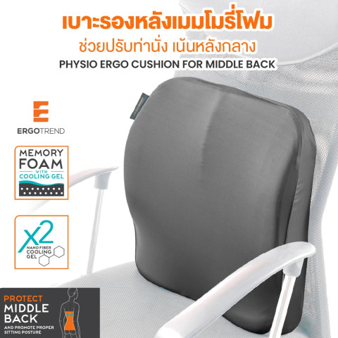ERGOTREND PHYSIO ERGO CUSHION FOR MIDDLE BACK เบาะรองหลังปรับท่านั่งให้ถูกต้องตามหลักสรีรศาสตร์