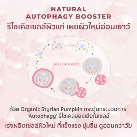 HER HYNESS HYDRA GLOW ADVANCED SKIN BOOSTER CREAM 30ML ไฮดรา โกลว์ ครีม 30มล. Image5