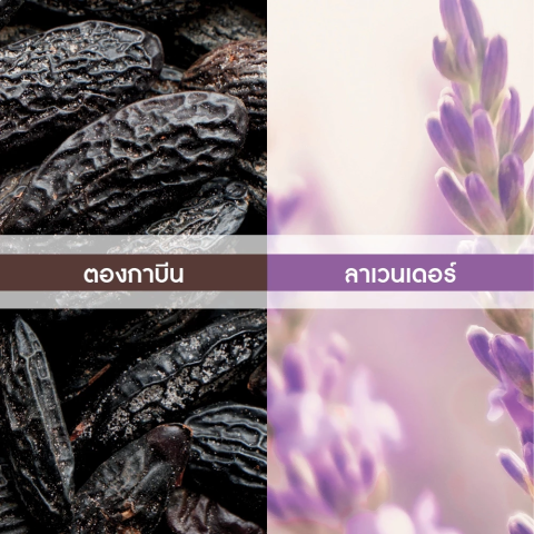 อีฟ โรเช Yves Rocher Hoggar Eau De Toilette 100 มล. น้ำหอมผู้ชาย - ฮอกการ์ กลิ่นหอมสดชื่นจากลาเวนเดอร์ เติมเต็มความสุขุมด้วยกลิ่นอบอุ่นจากตองกาบีน เสริมสร้างความมั่นใจ Image4