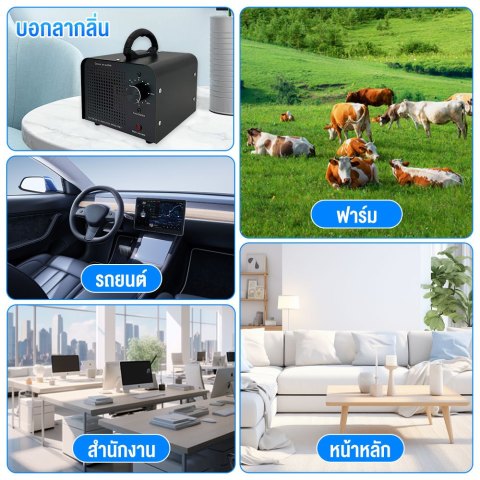 🏡เครื่องผลิตโอโซน 70g/h ฆ่าเชื้อโรค กำจัดกลิ่นอับ กลิ่นสัตว์เลี้ยง กลิ่นบุหรี่ ตั้งเวลาได้ 60 นาที ตัวเครื่องสแตนเลส Image2