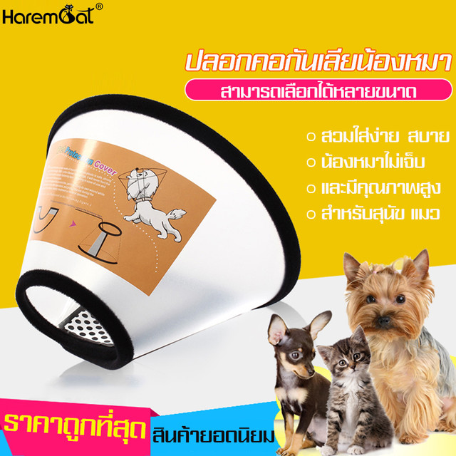 Large image: haremcat dog collar/cat adjustable dog collar self adhesive collar adjustable dog collar pet collar