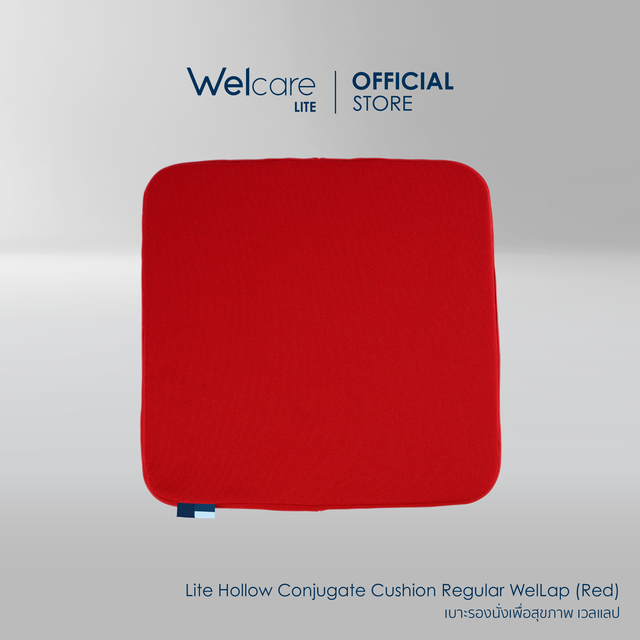 [Official] Welcare Cushion, a Seat Cushion for Health. There Are 4 Colors in Total.