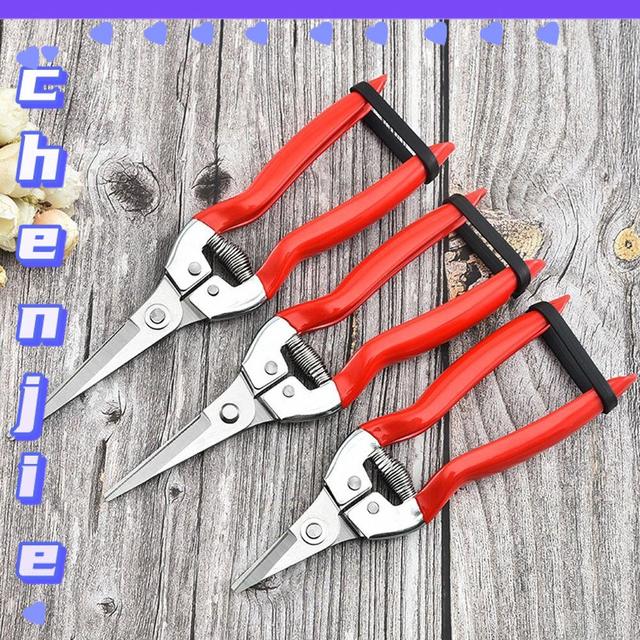 Chenjie 1Pcs Hand Trimmer Tree Pruning Scissors Florist Scissors Tools Gardening in the Garden Micro-Tip Pruning Scissors Durable for Use, Straight Type, Garden Scissors.