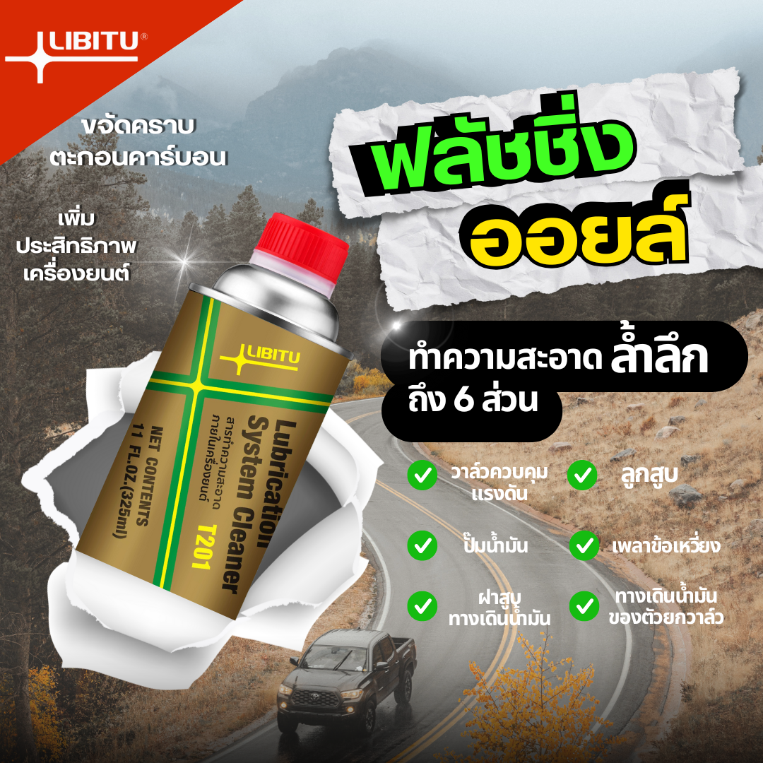 Libitu Flushing Oil Solution Interior Cleaning Solution Cleans Dirt Inside the Engine Lb201