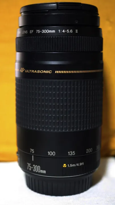 Canon EF 75-300mm f4-5.6 II USM Mark 2 เลนส์ ซูมไกล ถ่ายบุคคลสวย ละลายหลัง Full Frame Lens telephoto zoom มือสองคุณภาพ | Lazada Thailand