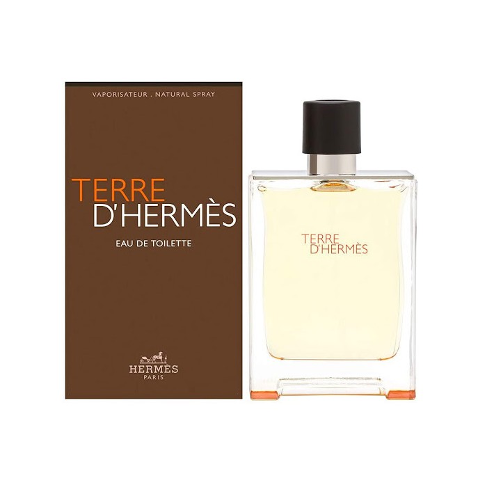 Hermes Terre D' Hermes EDT 100 ml | Shopee Thailand