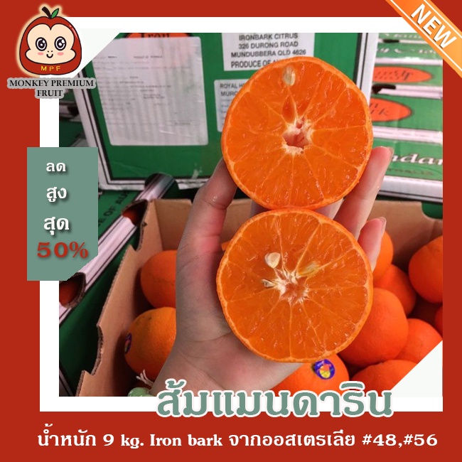 ส้มแมนดาริน Royal Honey murcott น้ำหนัก 9 kg. Iron bark จากออสเตรเลีย #48,#56 รสชาติหวาน หอม ฉ่ำ อร่อยmonkeypremiumfruit | Shopee Thailand