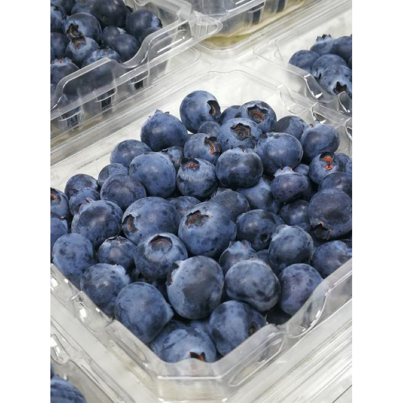 พร้อมส่ง‼️125g บลูเบอร์รี่สด นำเข้า Blueberry (เน้นส่งล็อตใหม่) | Shopee Thailand