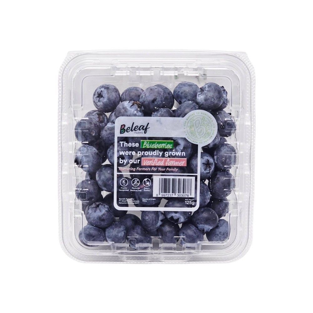 บลูเบอร์รี่สด แพ็คละ 125 กรัม BLUEBERRY PACK 125 G | Shopee Thailand